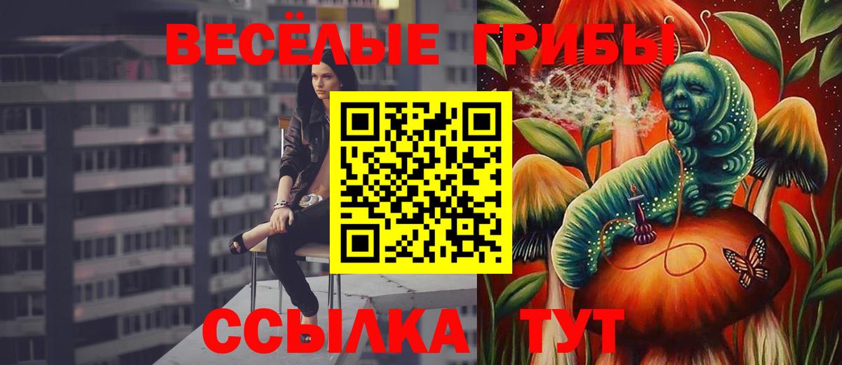 Галлюциногенные грибы прущие грибы  Псилоцибиновые грибы Cubensis  Вход с VPN  Рязань 